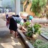 Home gardening program implemented in the office premises